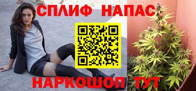 ГАЛЛЮЦИНОГЕННЫЕ ГРИБЫ Беслан