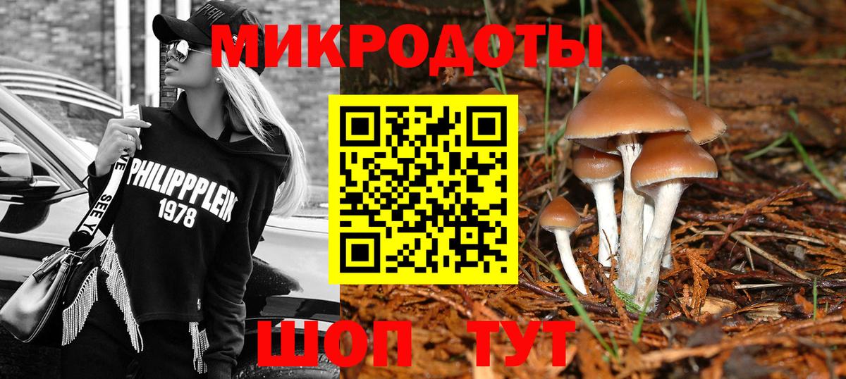 Псилоцибиновые грибы прущие грибы Коломна