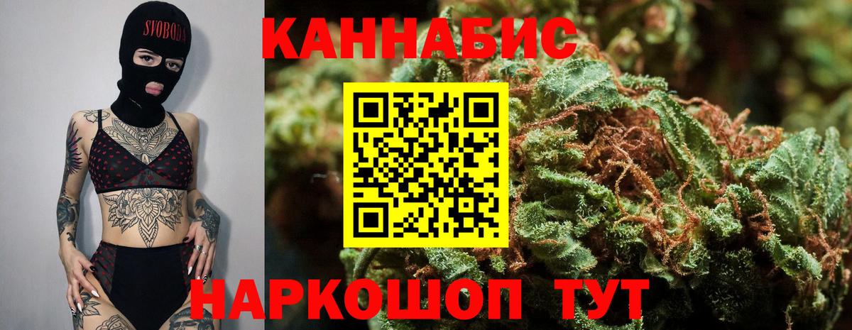Конопля OG Kush Коломна